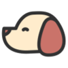 db손보 펫보험